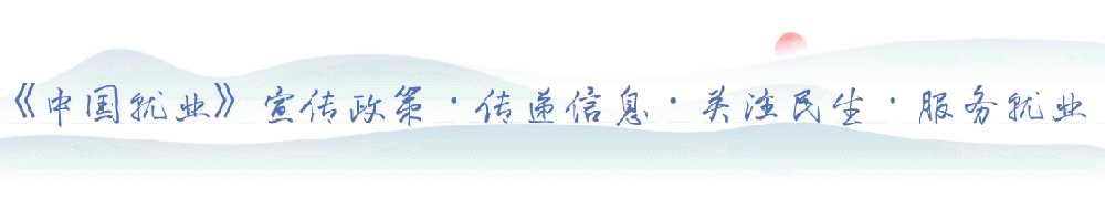 b796aa0588d98a13a48f8e1dcc2449a5.jpg